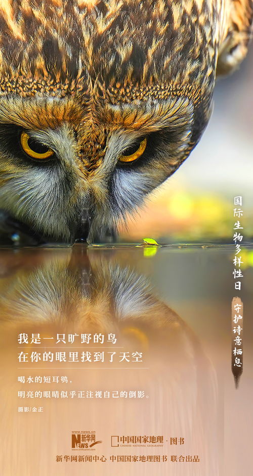 震撼大片來(lái)了 定格生物多樣性之美