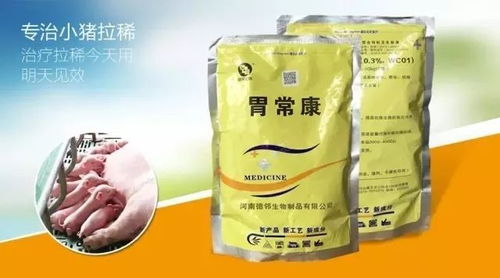 養豬人實用工具 查詢每日豬價行情 玉米 豆粕行情