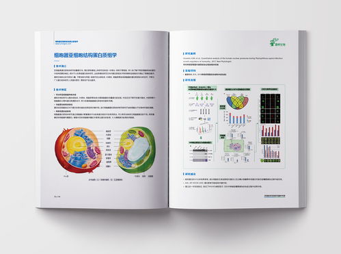 生物科技 醫(yī)藥 科研 平面 書(shū)裝 jissibon zcool