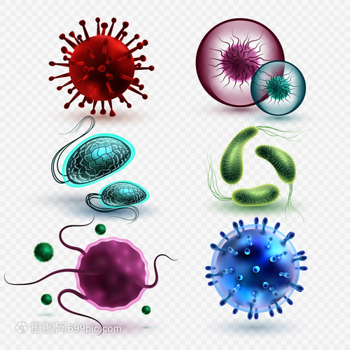 3D現(xiàn)實(shí)中的微生物與細(xì)菌 隔離、媒集與微觀世界的探索